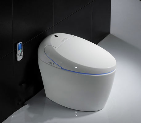 One Piece Intelligent Bathroom Sanitary Ware With Foot Touch Sensor Flushing