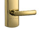PVD gold Electronic Door Lock Unlocked by Password or Emid Card