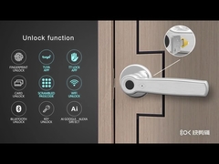 DeJgS1580-EL-SI BL Function