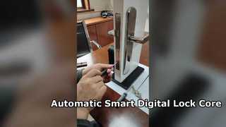 Automatic Smart Digital Lock Core APP WiFi Bluetooth unlocking