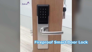 Fireproof 120min Smart APP Door Lock
