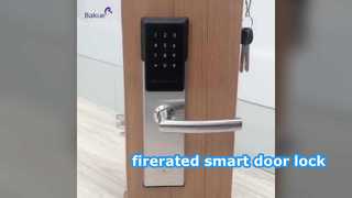 Fireproof 120min smart lock meet EN14846 EN1634-1