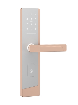 Smart Touchscreen Door Lock For One Administrator And Up To 100 Users