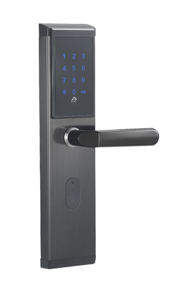 WiFi Enabled Electronic Smart Lock Get This Function Via Gateway