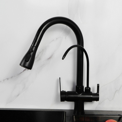 Black 3 Way Drinking Water Faucet With Filtered Water H410 XW225mm