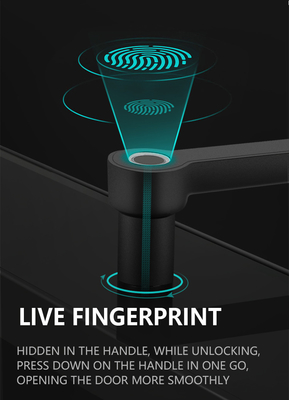 Security Smart Door Lock Fingerprint Mortise 6068 With Safety Knob Home Office
