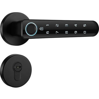 TTLock Electronic Code Lock Remote Control WIFI Bluetooth Controlled Lock