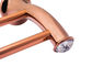 Bathroom Accessory  Double Towel Bar  Plate Rose Gold Zinc Alloy and Crystal