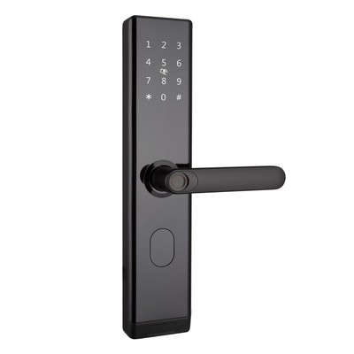 Digital Fingerprint Smart Door Lock Waterproof Electric With APP TTLOCK BLE Wifi