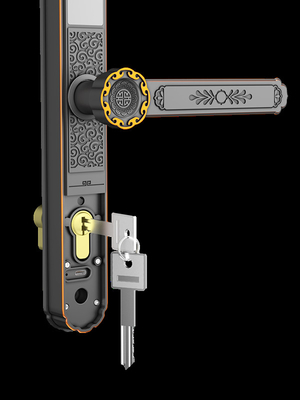 Waterproof IP65 Fingerprint Door Lock For Entry Outside Doors