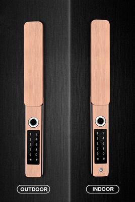 Courtyard Outside Fingerprint Code WiFi Door Lock Waterproof IP68 Aluminium Alloy