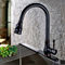 ORB Brass Pull Out Spray Sanitary Kitchen Faucet Single Handle Water Tap