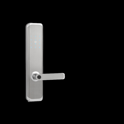 European Standard 6068 Smart Mortise Lock For High Security Residence Silver Color Passcode Lock