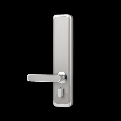 European Standard 6068 Smart Mortise Lock For High Security Residence Silver Color Passcode Lock