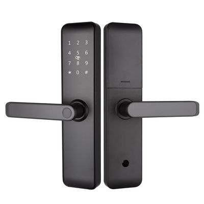 Painted Bluetooth WiFi RFID Keyless Smart Locks For Apartments Home Entry Door Room Door