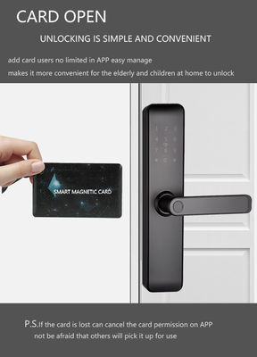 Painted Bluetooth WiFi RFID Keyless Smart Locks For Apartments Home Entry Door Room Door