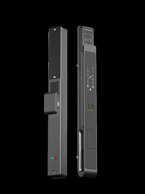 Face / Palm Vein Smart Mortise Lock 7-in-1 Unlocking IP65 BKFDS Aluminum