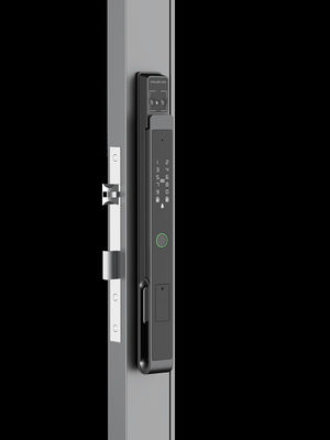 Face / Palm Vein Smart Mortise Lock 7-in-1 Unlocking IP65 BKFDS Aluminum