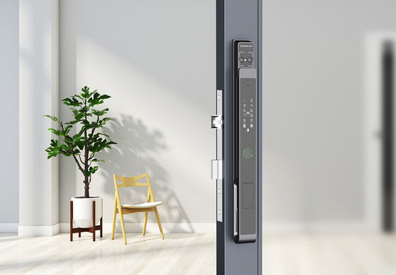 Face / Palm Vein  Smart Gate Lock 7-in-1 Unlocking IP65 Aluminum
