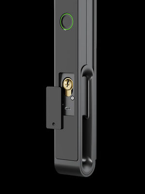 Face / Palm Vein  Smart Gate Lock 7-in-1 Unlocking IP65 Aluminum