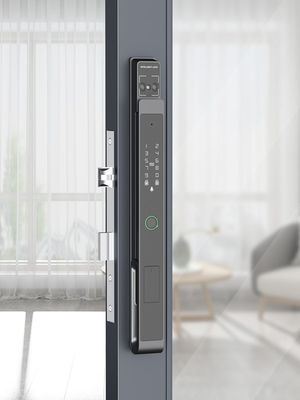 Video Cat Eye Palm Vein / Face Unlocking Wifi Smart Lock Aluminum IP65