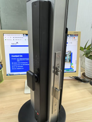 Video Cat Eye Palm Vein / Face Unlocking Wifi Smart Lock Aluminum IP65