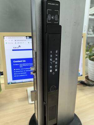 Video Cat Eye Palm Vein / Face Unlocking Wifi Smart Lock Aluminum IP65