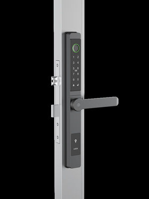 Facial Recognition / Cat Eye Video / Palm Vein Smart Door Lock IP65 Alumminum