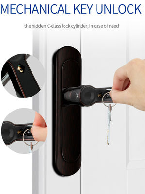 ROHS Smart Fingerprint Bluetooth Door Lock AI Voice Zinc Alloy Handle