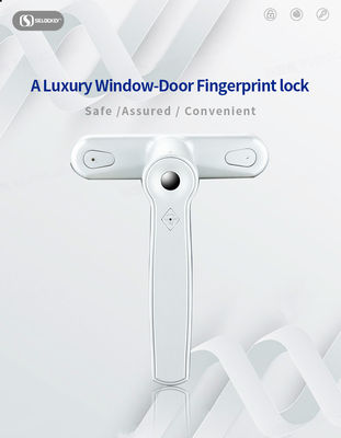 Fingerprint Sliding Window Lock