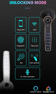 TTlock Fingerprint Bluetooth Smart Lock Keyless Zinc Alloy Handle