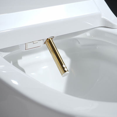 Side Arm Control Smart Toilet Seat With Stainless Steel Nozzle