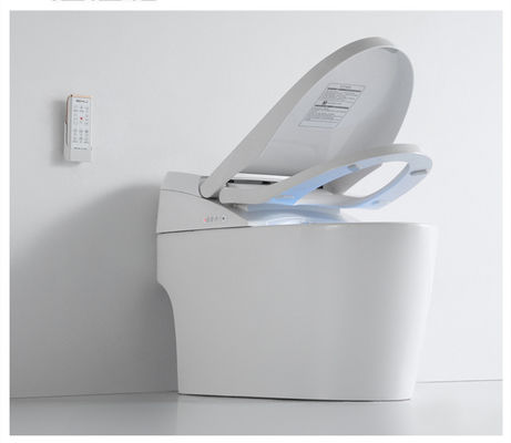 Waterproof Air Purification Acrylic ABS Intelligent Flushing Toilet Seat