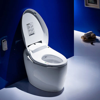 One Piece Intelligent Bathroom Sanitary Ware With Foot Touch Sensor Flushing