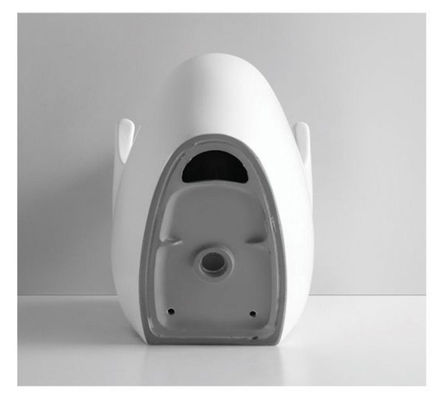 Modern White Matte Black Siphon Flushing Type Bathroom Sanitary Ware