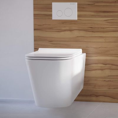 Adjustable Height Rimless Flushing Wall Hung Toilet Bowl Glossy White