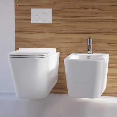 Adjustable Height Rimless Flushing Wall Hung Toilet Bowl Glossy White